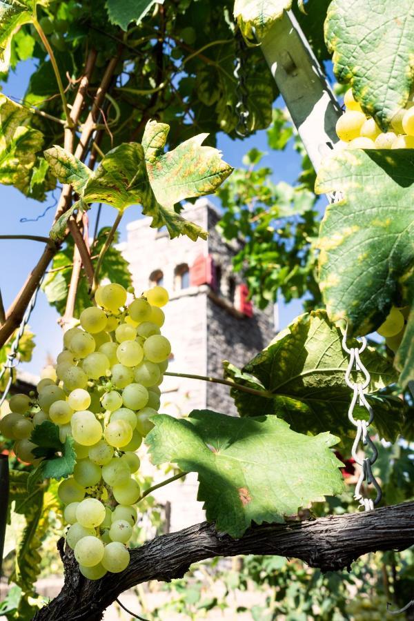 Bed and Breakfast Castel De Daval Sierre Zewnętrze zdjęcie